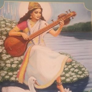 Meet your Posher, Chamisa